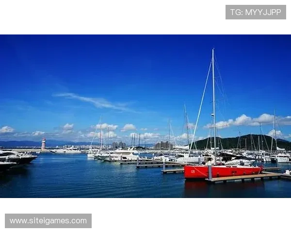 半岛体育官网入口：2024年最新官方入口网址全面更新与安全保障