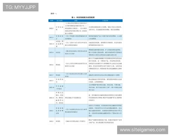 新爱网址登录线路优化建议，帮助平台提升登录体验和服务质量