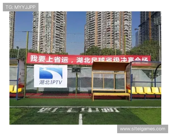 新爱体育足球官网：专业的足球数据统计与分析，助力球迷深入了解比赛细节